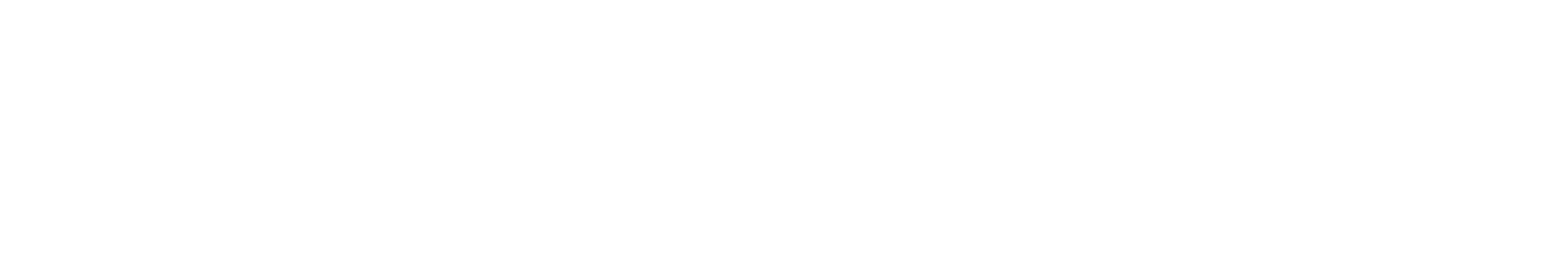 Deacon's New South Logo