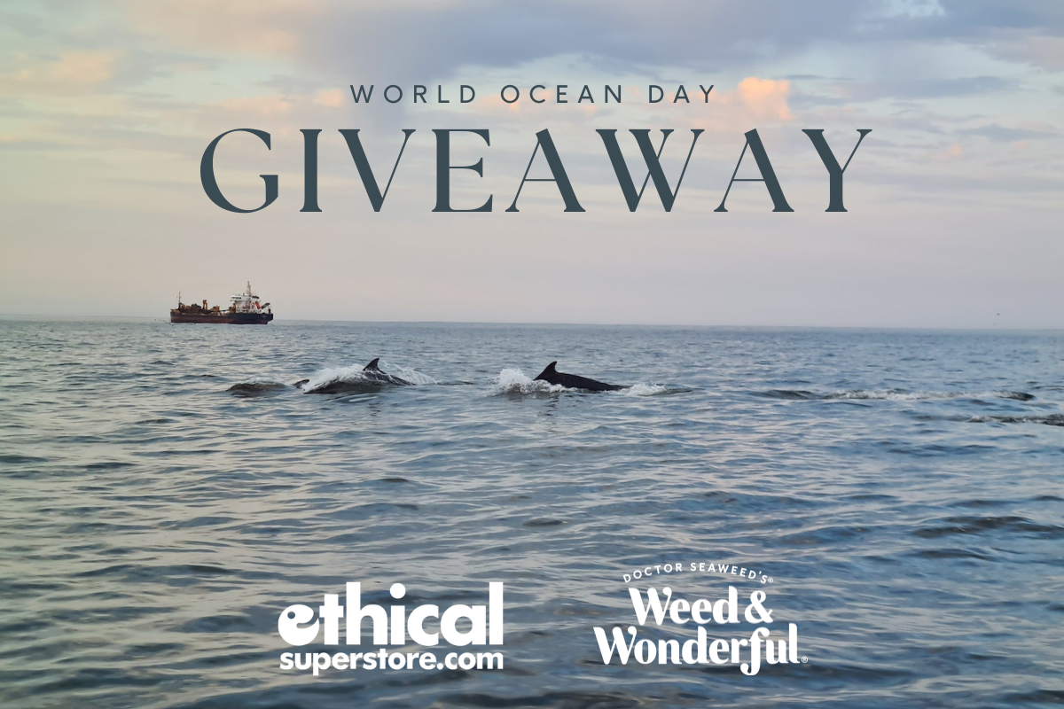 Image: https://offertabs.s3.amazonaws.com/offer/aybrax/6479bfb32c94f4.78582337.png