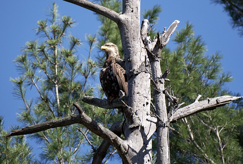 2024 Calendar Photo Contest