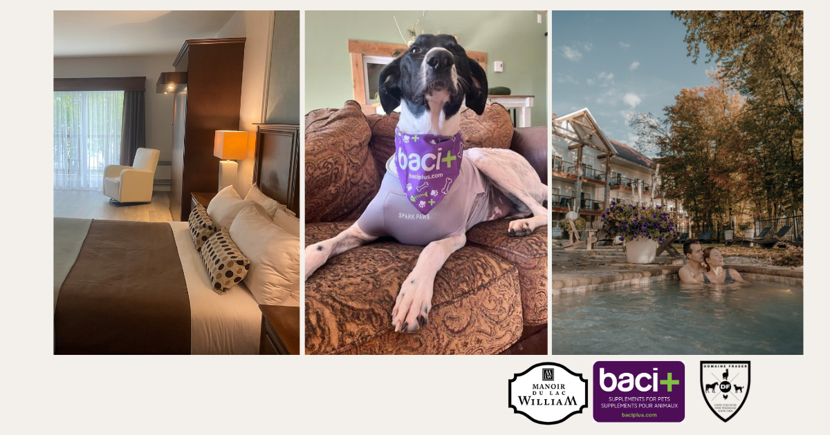 Concours baci+ Domaine Fraser