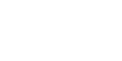 SlipIns Logo