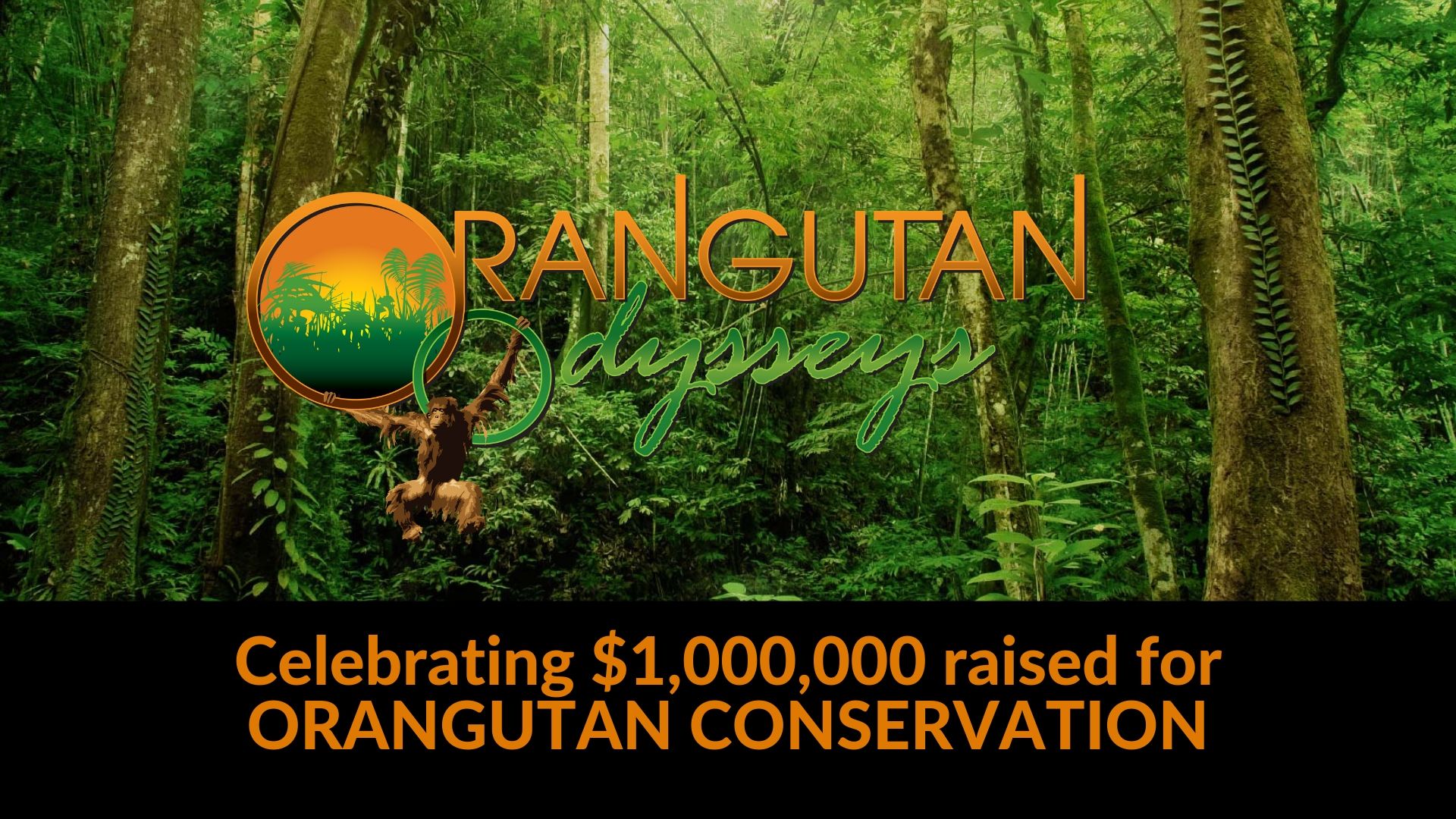 5d5b56ed43a36-Celebrating1000000raisedforOrangutanConservation.jpg